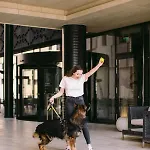 Hotel Timisoara Тимишоара