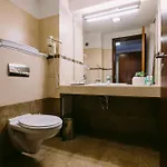 Отель Hotel Timisoara 4*