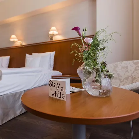 Hotel Timisoara