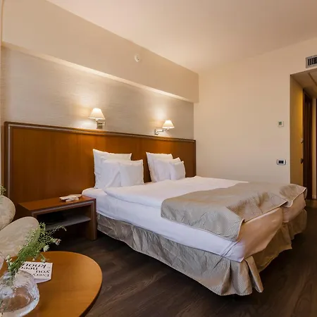 Ξενοδοχείο Hotel Timisoara 4*
