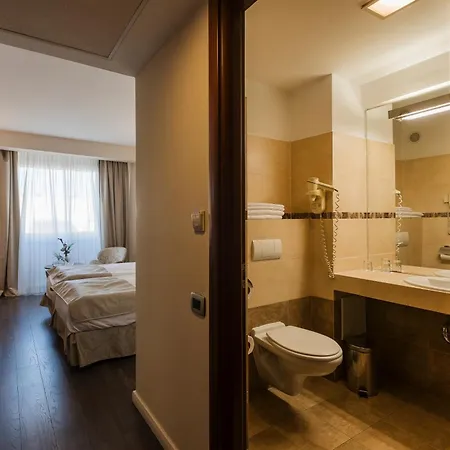 Hotel Timisoara Timisoara