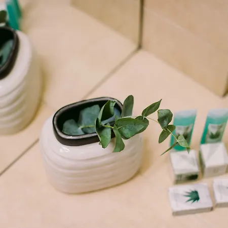 Ξενοδοχείο Hotel Timisoara Τιμισοάρα