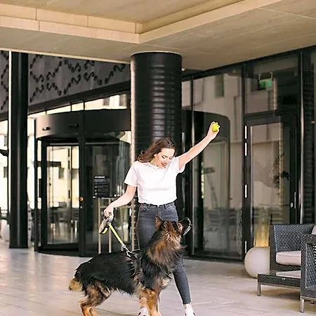 Hotel Hotel Timisoara Timisoara