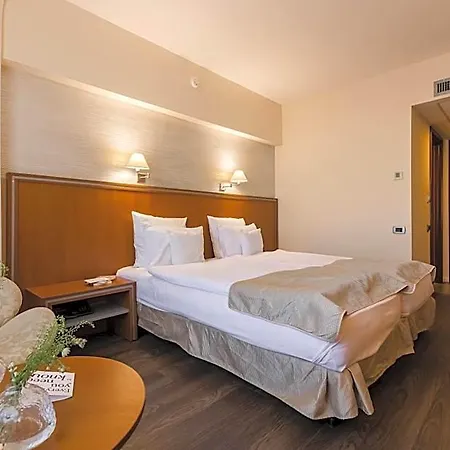 Hotel Timisoara Timişoara