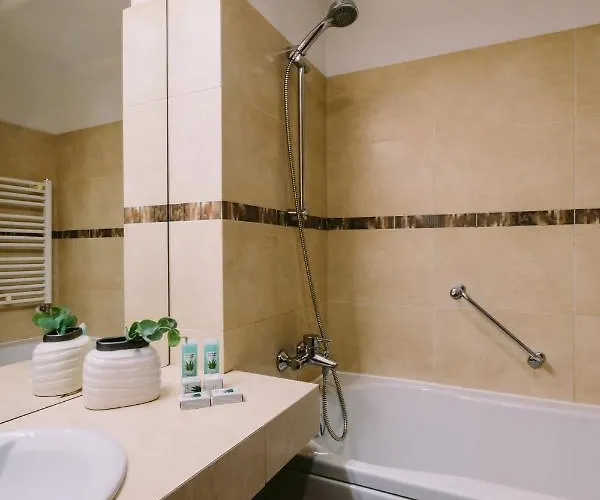 מלון Hotel Timisoara 4*