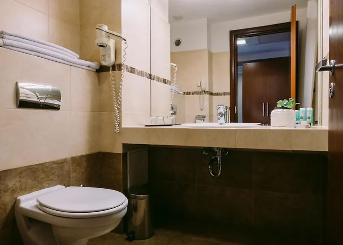 Hotel Hotel Timisoara 4*