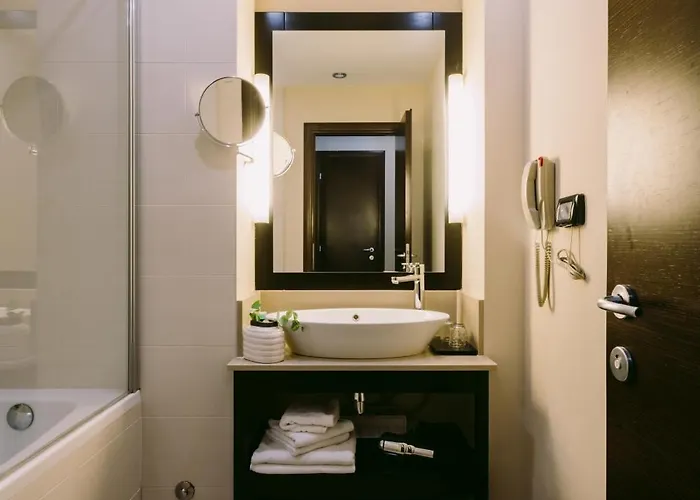 Hotel Timisoara Timisoara