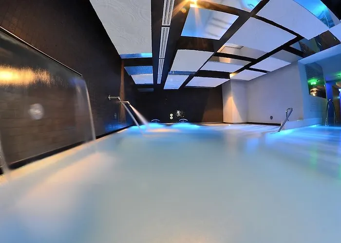 Hotel Timisoara מלון טימישוארה