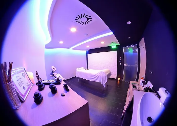 Hotel Timisoara 4* טימישוארה