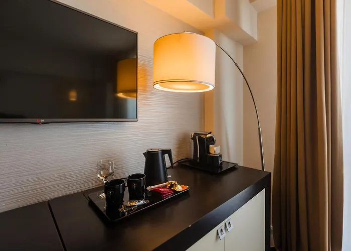 Hotel Timisoara טימישוארה