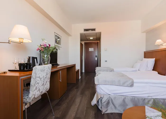 Hotel Timisoara מלון