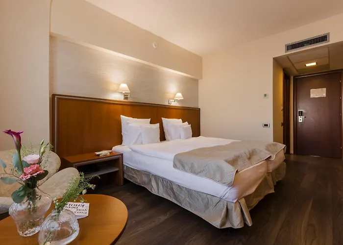 מלון Hotel Timisoara 4*