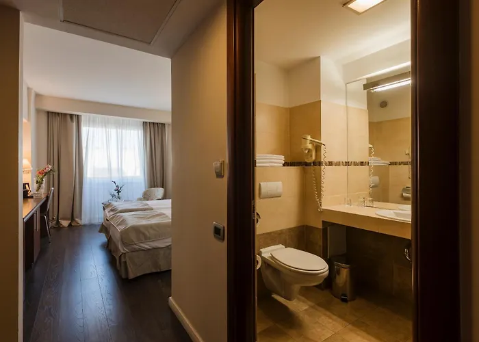 Hotel Timisoara טימישוארה