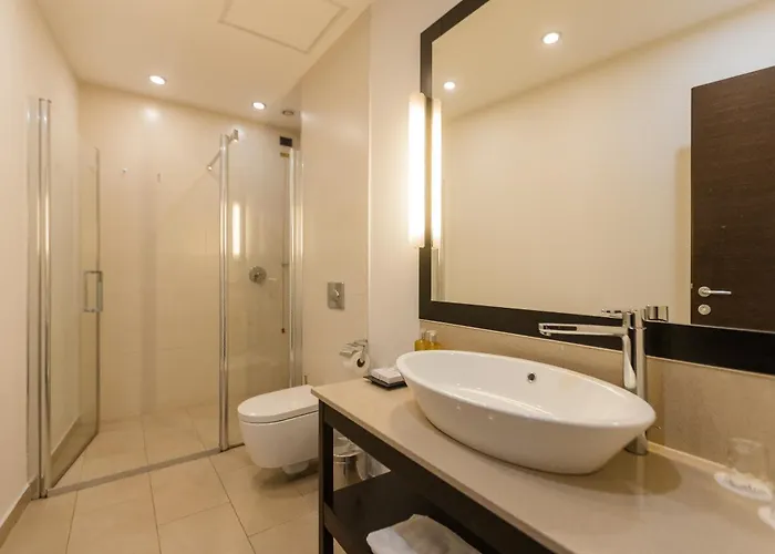 Hotel Hotel Timisoara Timisoara