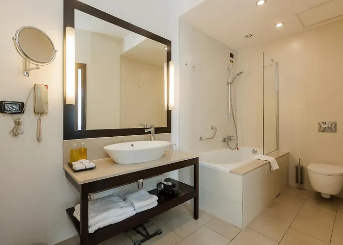 Hotel Timisoara 4* Τιμισοάρα