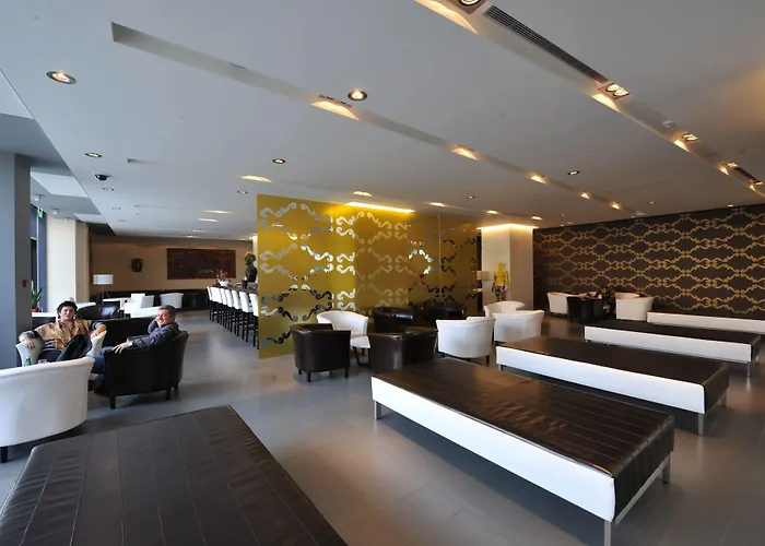 Hotel Timisoara מלון טימישוארה