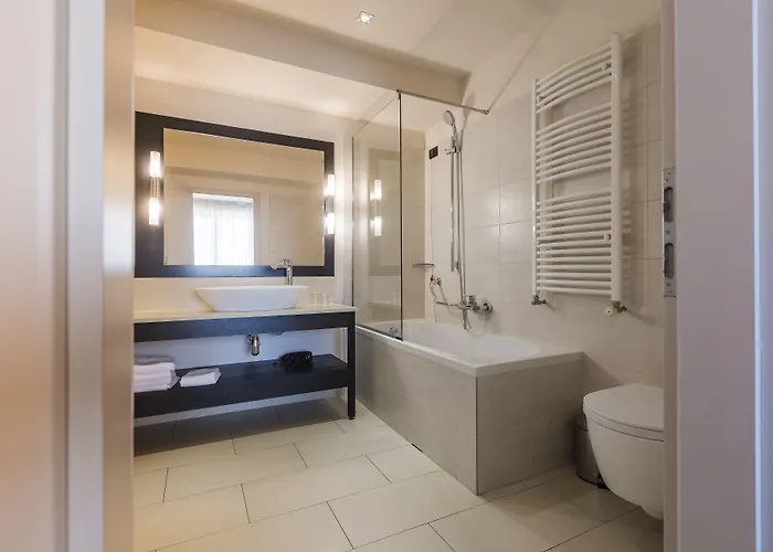 Hotel Timisoara טימישוארה