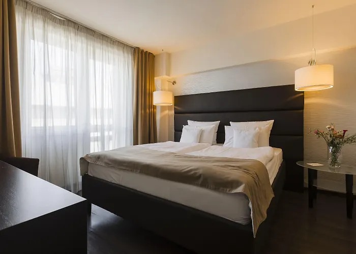 Hotel Timisoara מלון