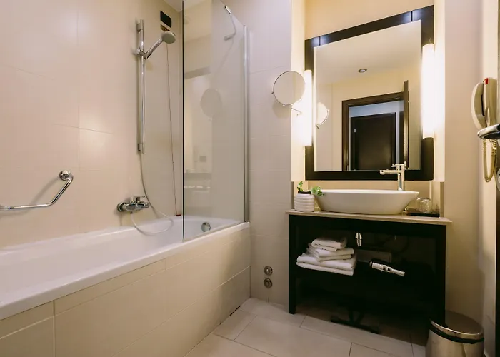 Hotel Timisoara מלון