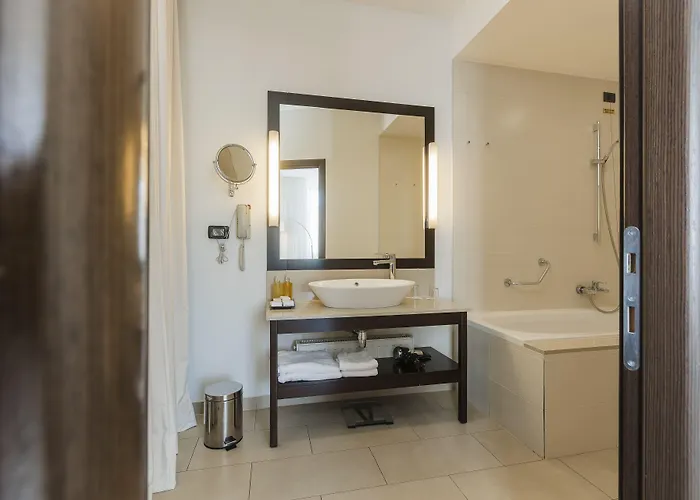 Hotel Hotel Timisoara 4*