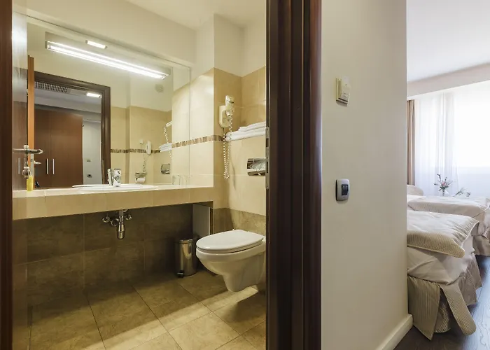 Hotel Hotel Timisoara 4*