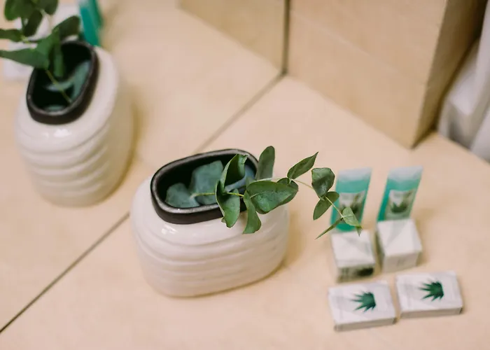 Hotel Hotel Timisoara Timisoara