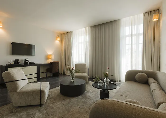 Hotel Timisoara מלון