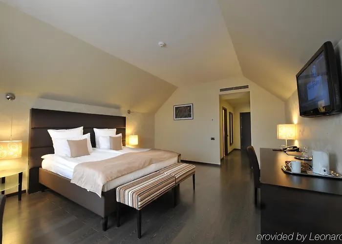 Hotel Timisoara Ξενοδοχείο Τιμισοάρα